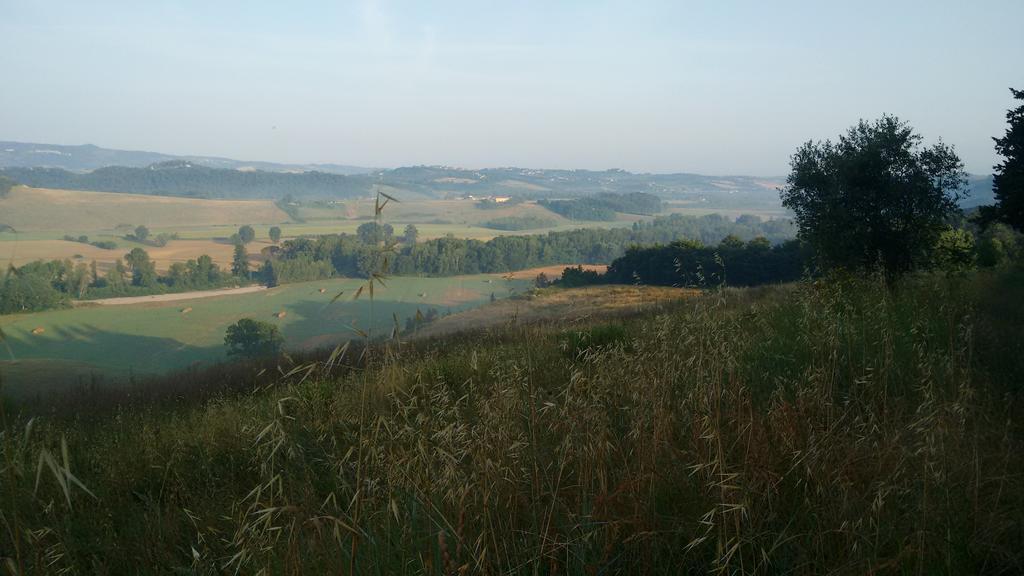Agriturismo I Moricci Peccioli Luaran gambar