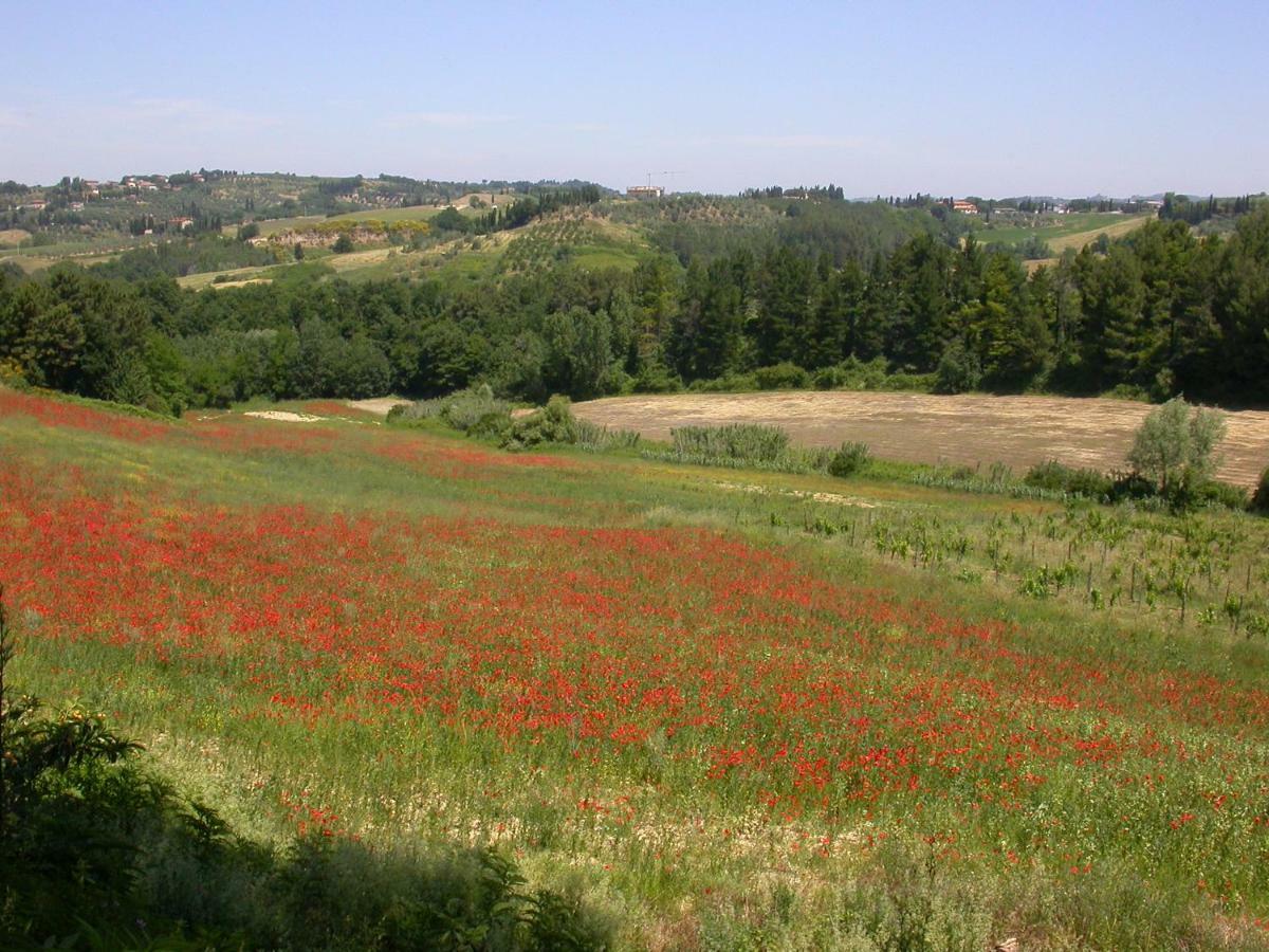 Agriturismo I Moricci Peccioli Luaran gambar